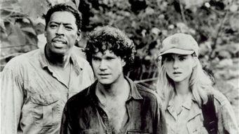 刚果惊魂在线观看,揭秘刚果惊魂 第3张 刚果惊魂在线观看,揭秘刚果惊魂 第3张